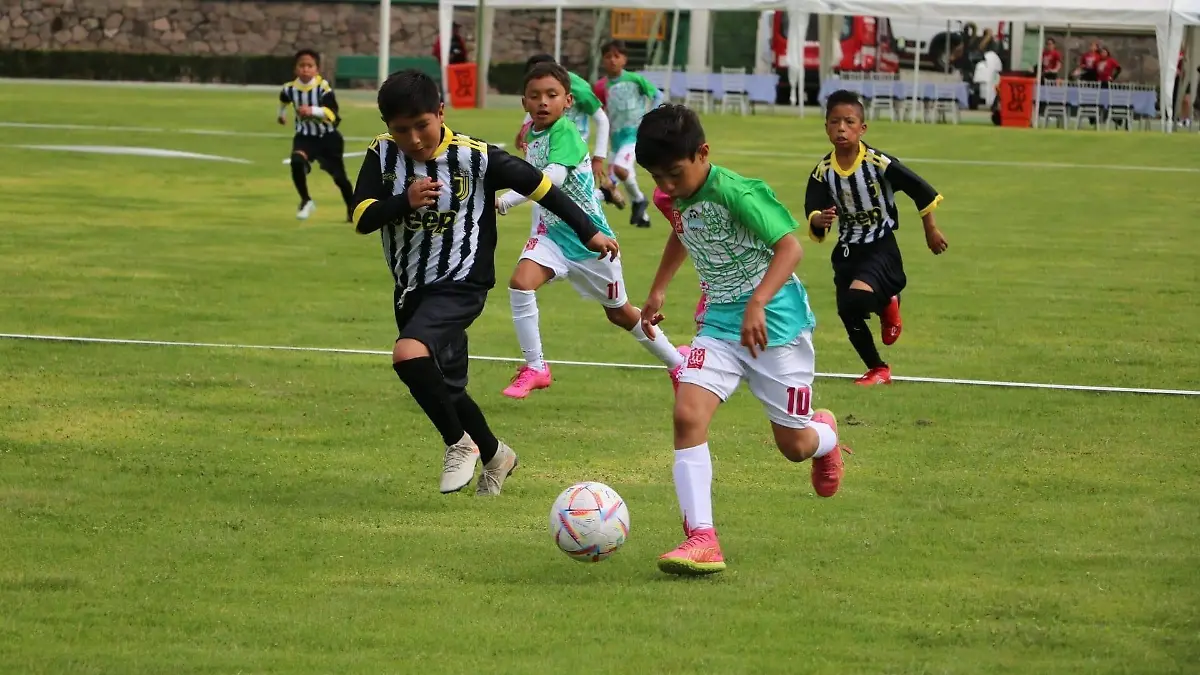 toluca sub 12